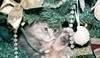 Kočka pod vánočním stromečkem