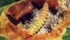 Larva klíněnky jírovcové