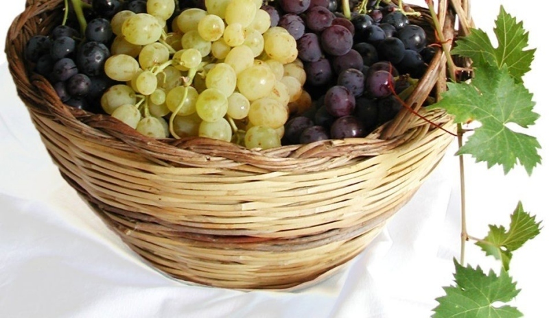 Hroznové víno v košíku