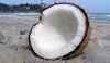 Kokos na písku