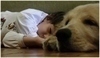 Spící pes a dítě