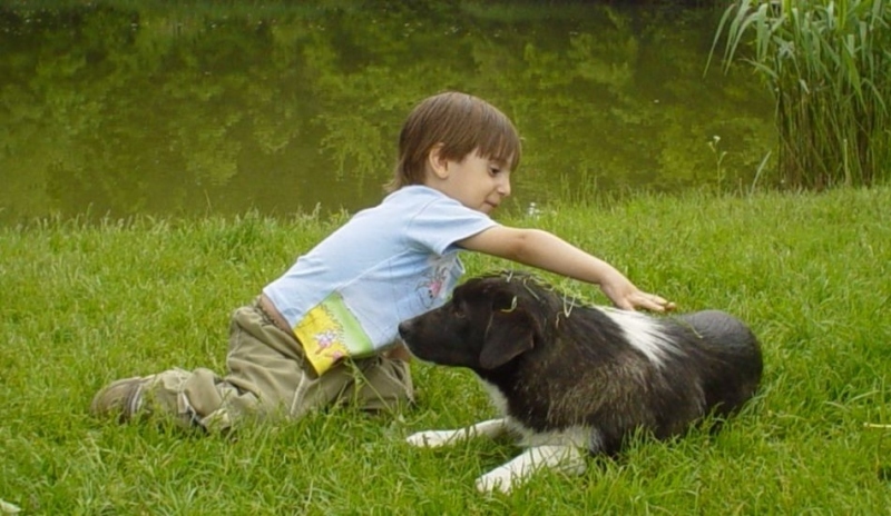 Chlapec se psem na trávníku