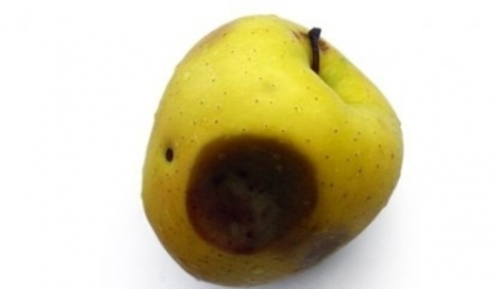 Nahnilé jablko
