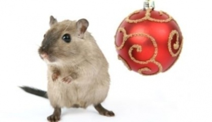 Myš a vánoční baňka