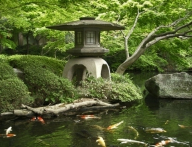 Japonská zahrada 