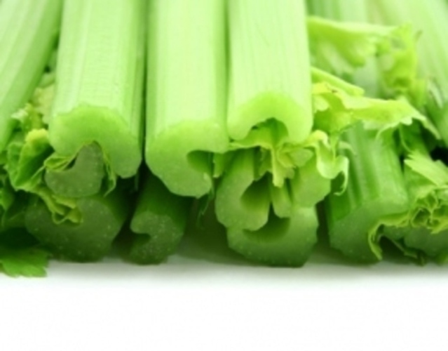 Řapíkatý celer