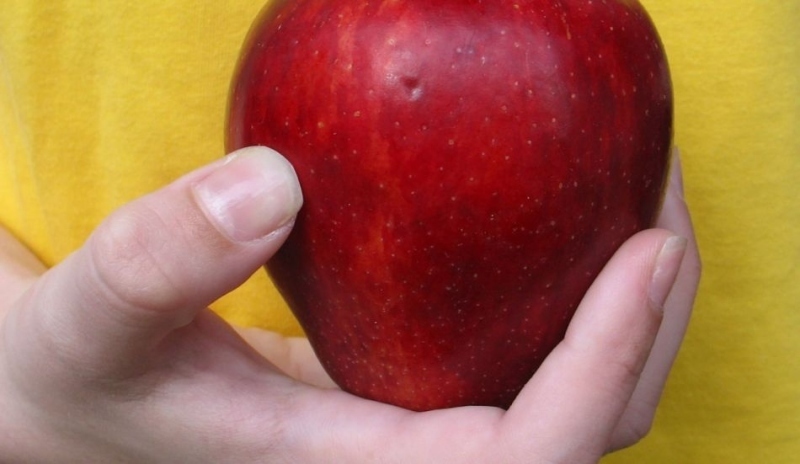 Jablko v dlani