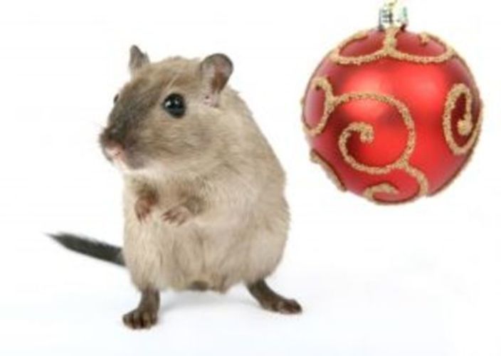 Myška a vánoční baňka
