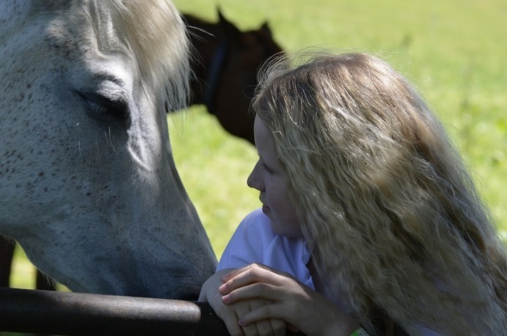 dívka s koněm