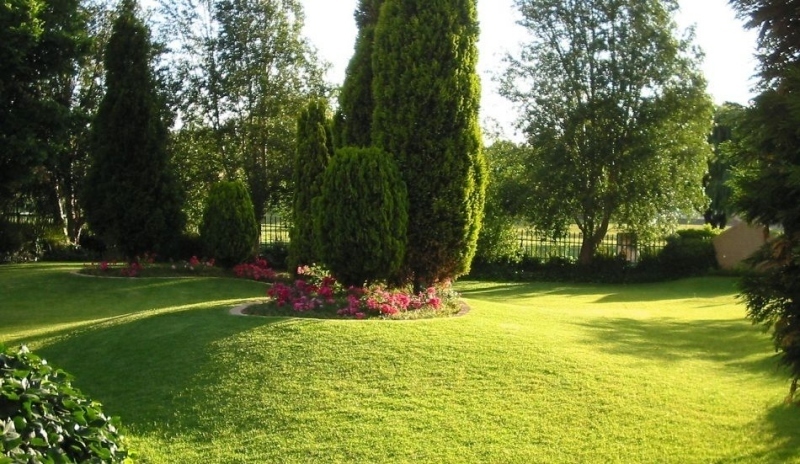 Upravená zahrada