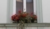 Květiny v truhlíku na okně